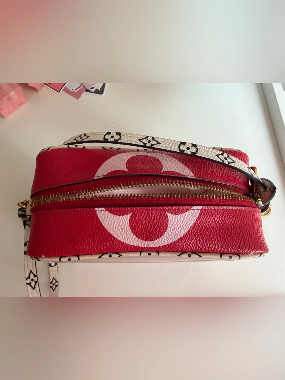 Louis Vuitton Pink and Red Clear bag